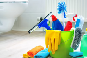 Messie Reinigung Lahr/schwarzwald